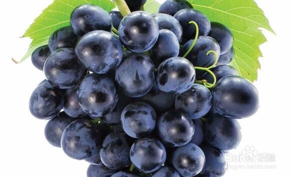 花青素的有效吃法