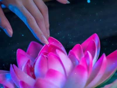 艺凡这个名字的意义是什么