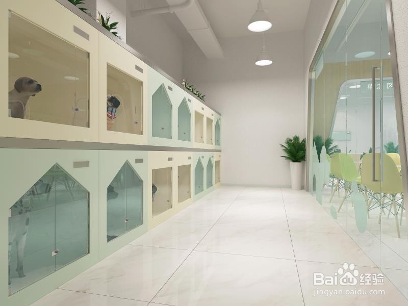 开一家赚钱的宠物店|如何开一家赚钱的宠物店