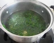 碱蓬草怎样吃