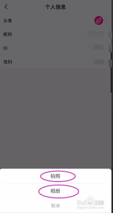 小鱼记账怎样修改头像
