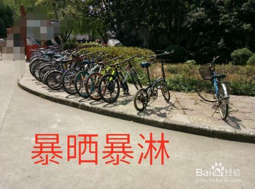 大学新生怎样买自行车比较划算呢？