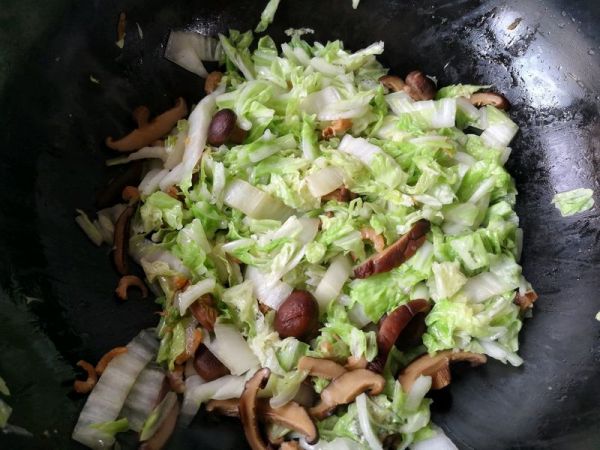 白菜豆腐煲#百菜不如白菜#