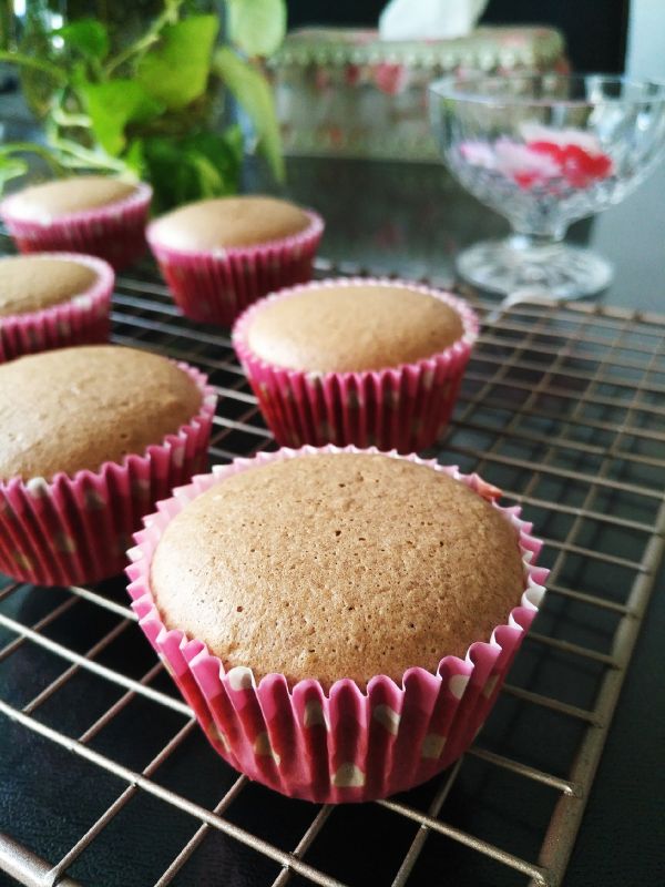 可可戚风纸杯蛋糕