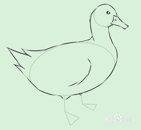怎样画鸭子如何画白鸭子铅笔画