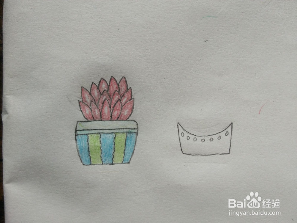 简笔画——怎么画多肉盆栽