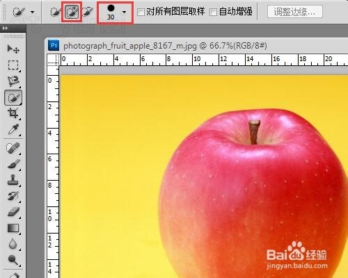 Photoshop入门教程之PS快速选择工具及复制图层