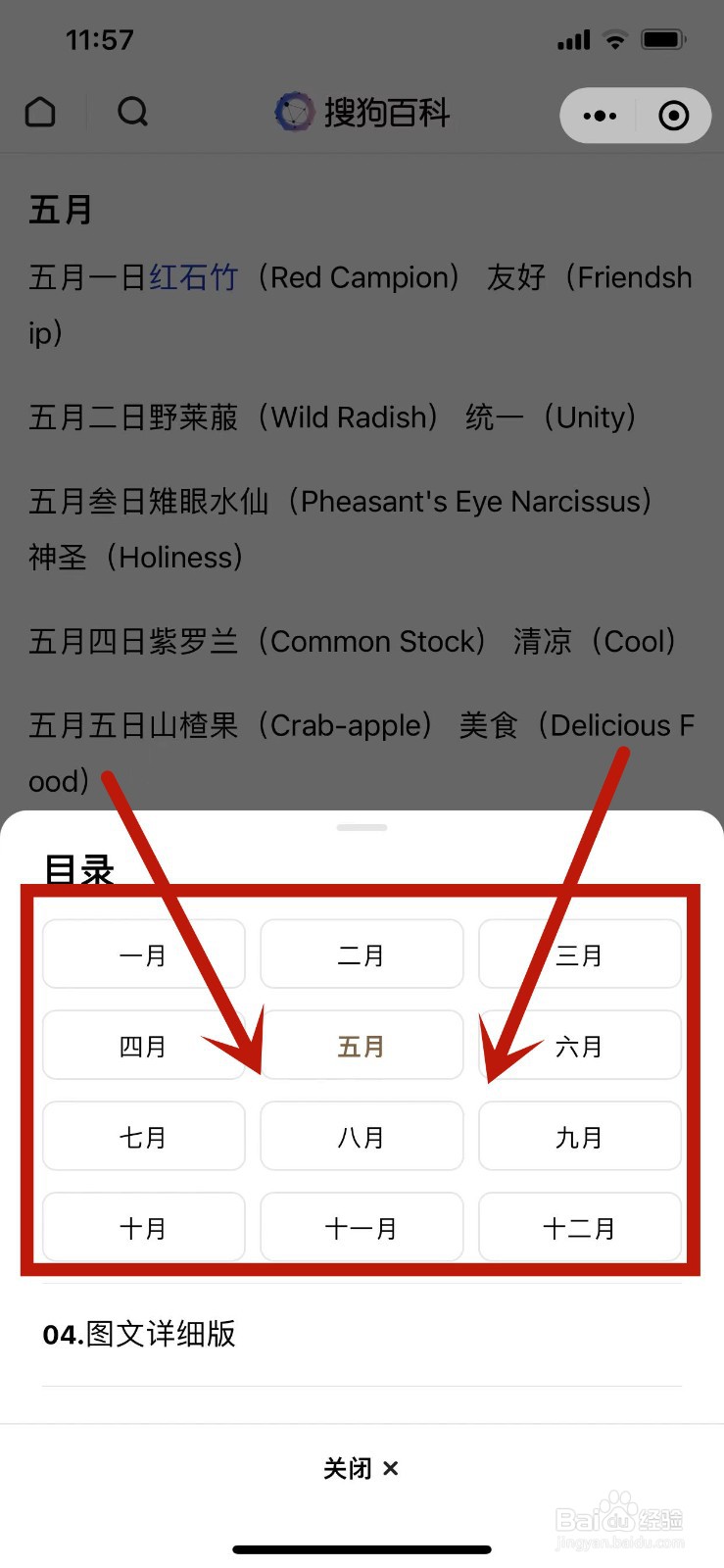 怎么查自己的生日花