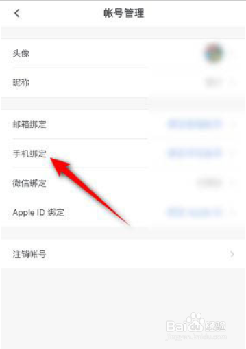 石墨文档在哪儿绑定手机号?