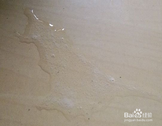 狗狗吐白沫怎么办?狗狗吐白沫是什么原因?