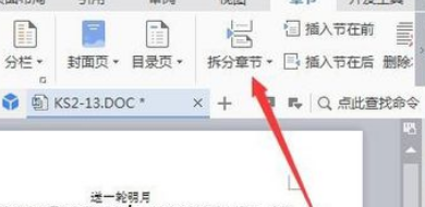WPS里怎样取消插入分隔符