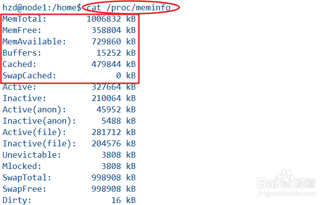 linux如何查看内存命令