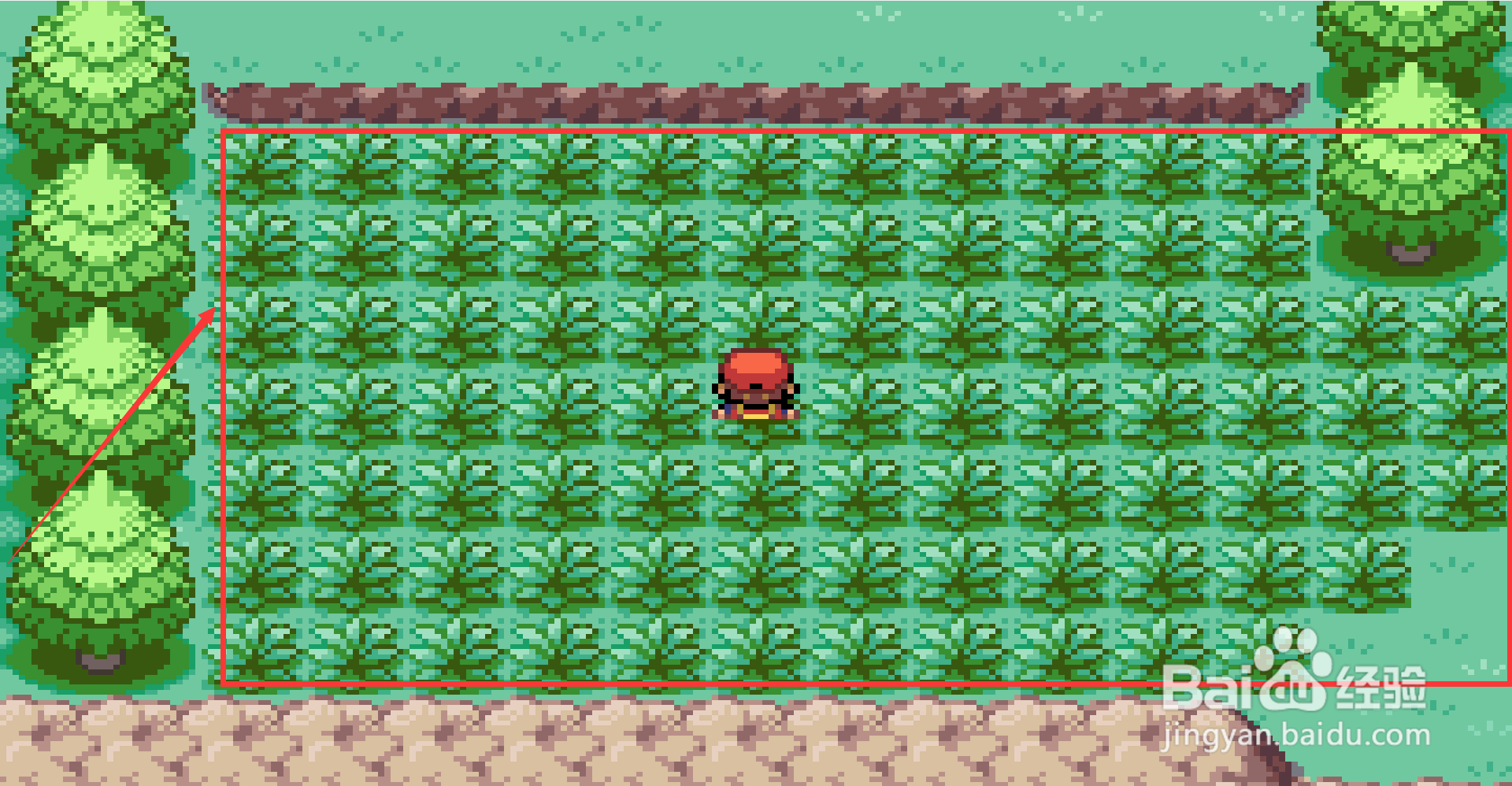 口袋妖怪叶绿派穿山鼠在哪里抓