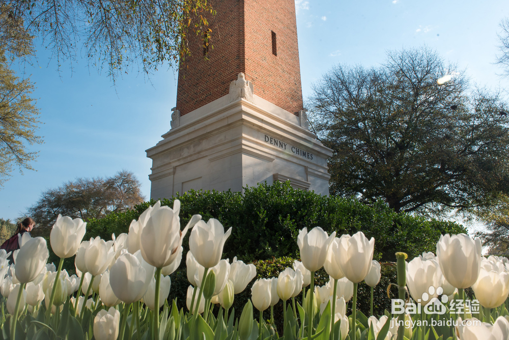 阿拉巴马大学校园生活攻略