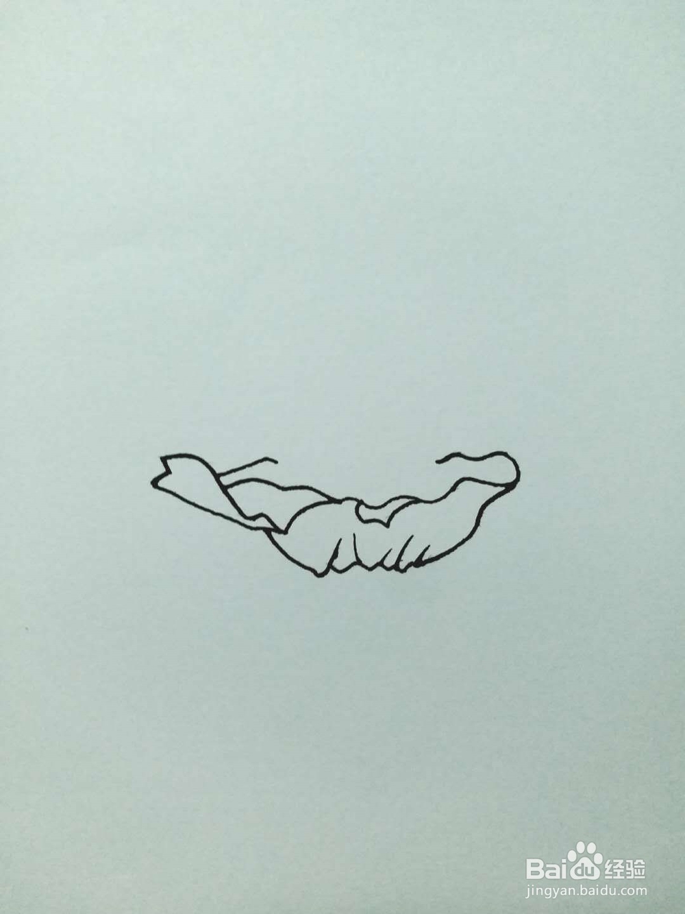盆景的简笔画法1