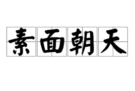 一碗面上一片菜叶 猜成语