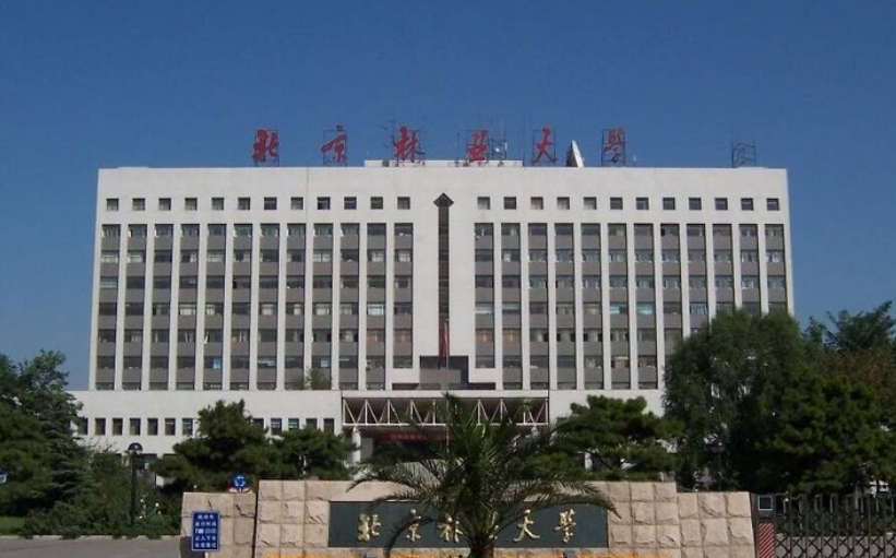 北京林业大学有哪些冷知识或者校园传说