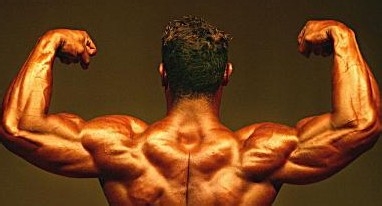 如何才能练出肌肉