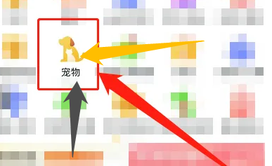 狗狗拉血便怎么办