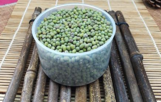 让黄豆芽变成“绿豆芽