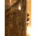 不同的人喝天然硒荞子茶有何作用