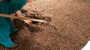 如何启动干撒式发酵床