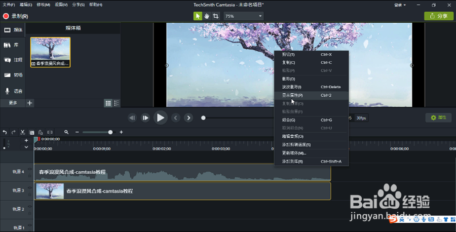 在camtasia2018中如何调整视觉属性？