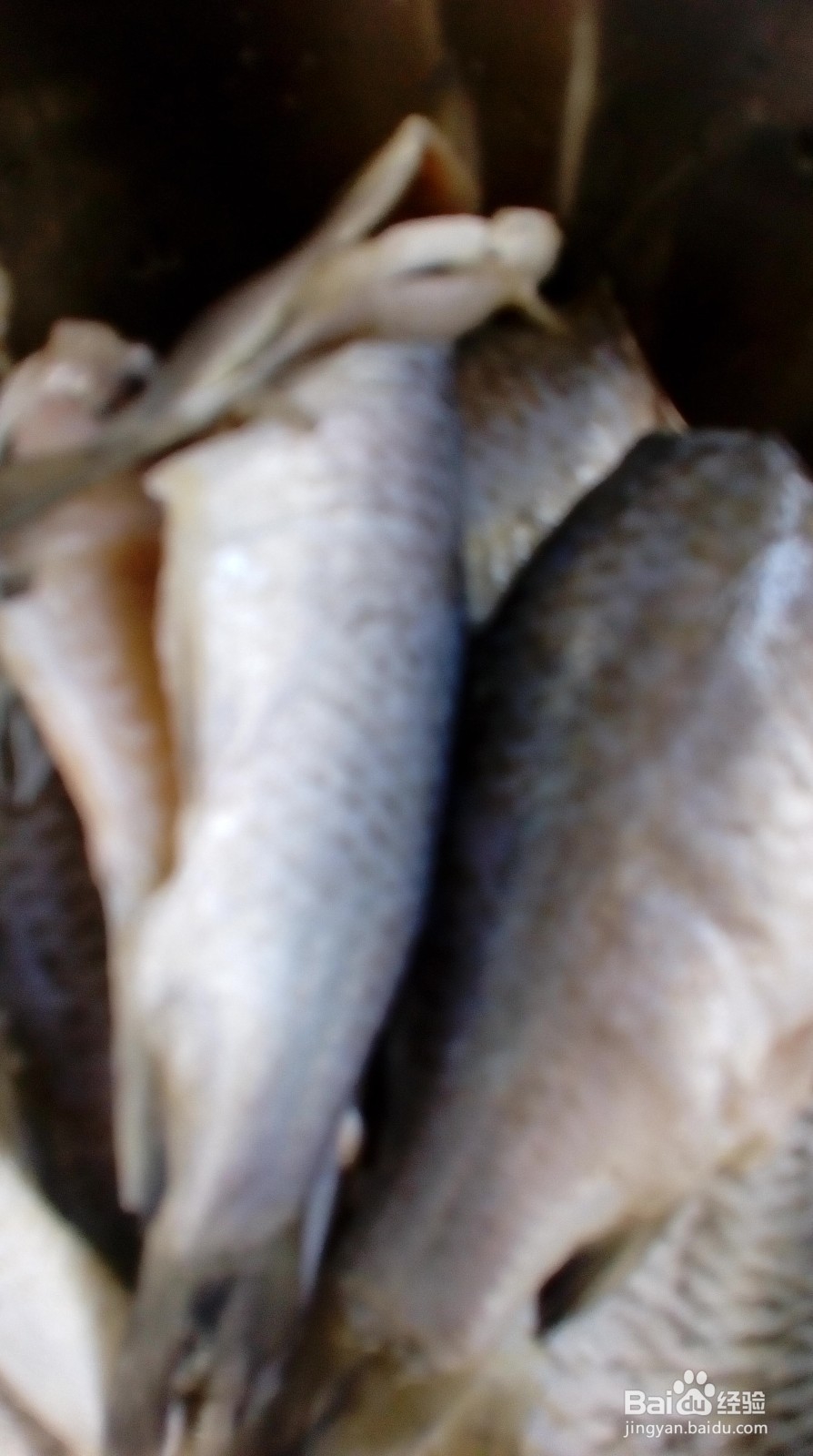 广式酥鲫鱼做法