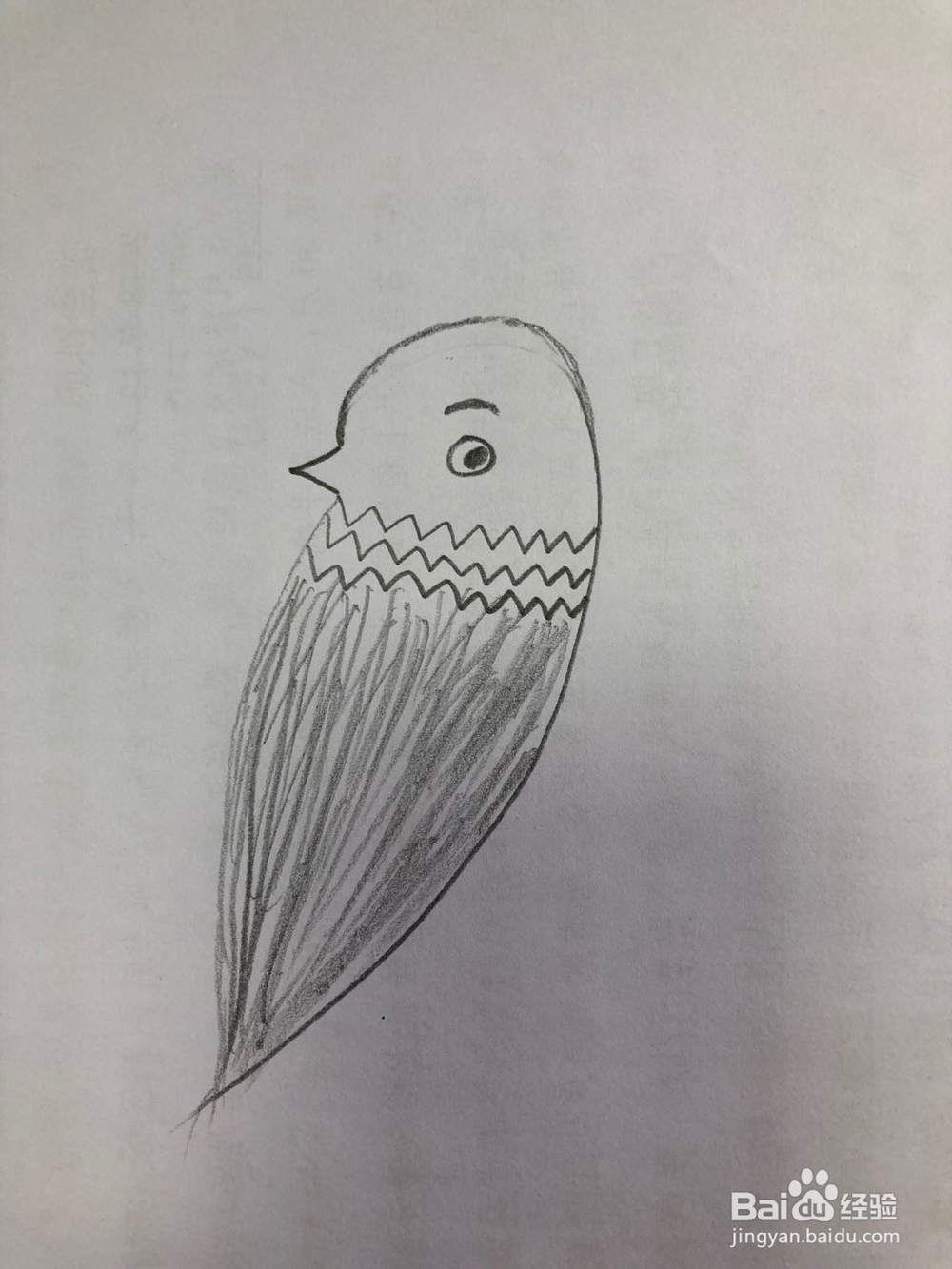 怎样画简易版的麻雀？