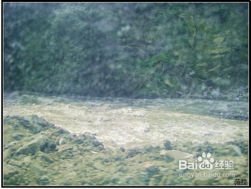 卧龙映秀旅游经验分享