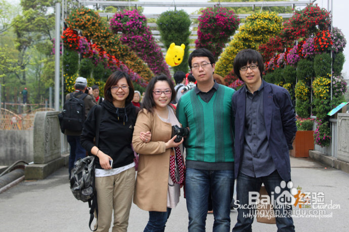 上海植物园（上）