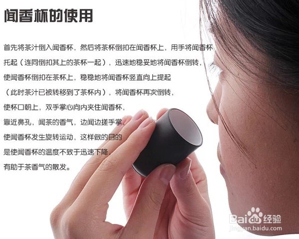 泡简易功夫茶的步骤