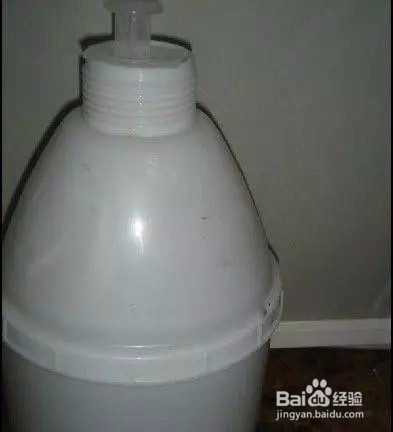 如何阳台盆栽种青菜?