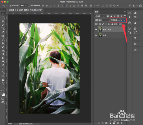 如何使用Photoshop使照片变得通透鲜亮