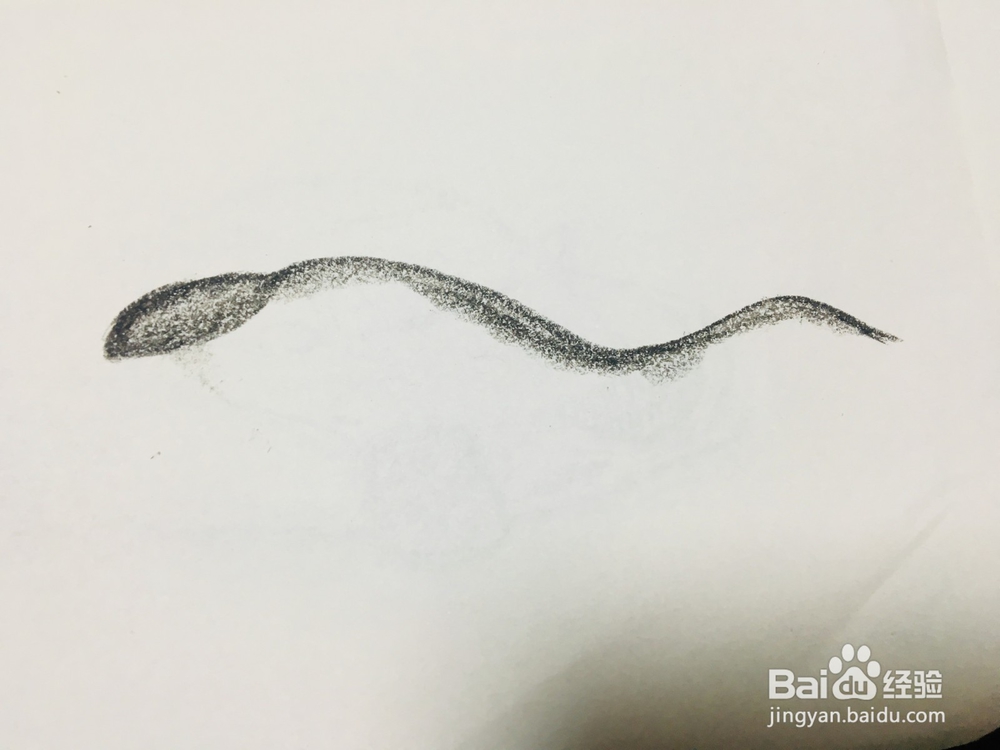 黑曼巴蛇怎么画