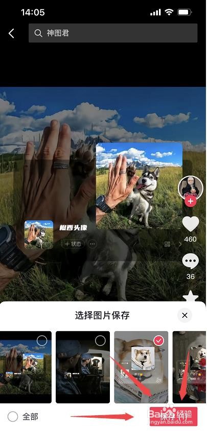 抖音里的图片怎么提取