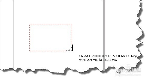 CorelDraw操作技巧：[1]导入