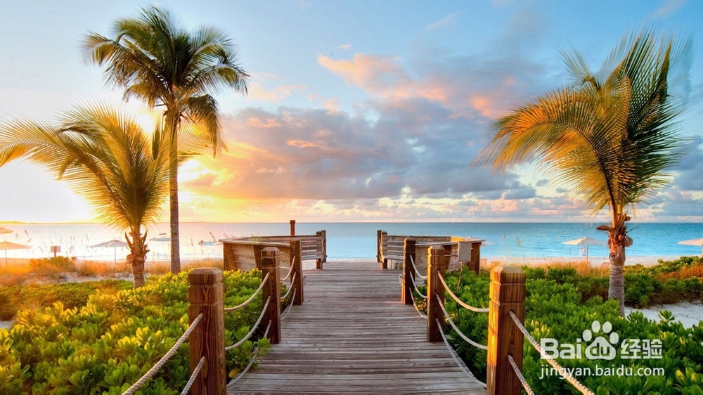 增强你的谈话魅力