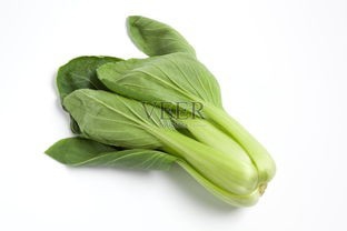 教你减肥的方法