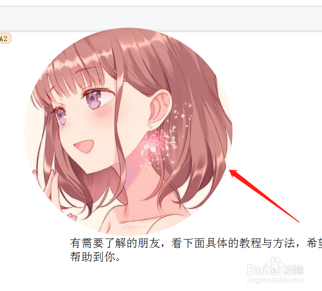 ppt图片怎么局部裁剪