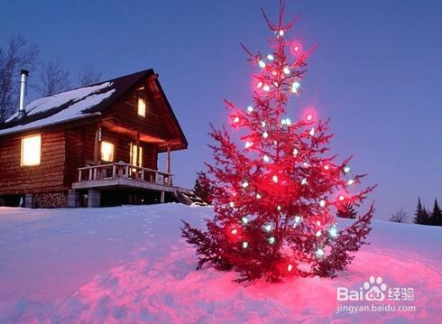 许多人不知道的圣诞节
