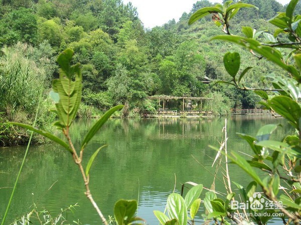 桂林伴漓:炎炎夏日,远离人人,感受古东魅力!