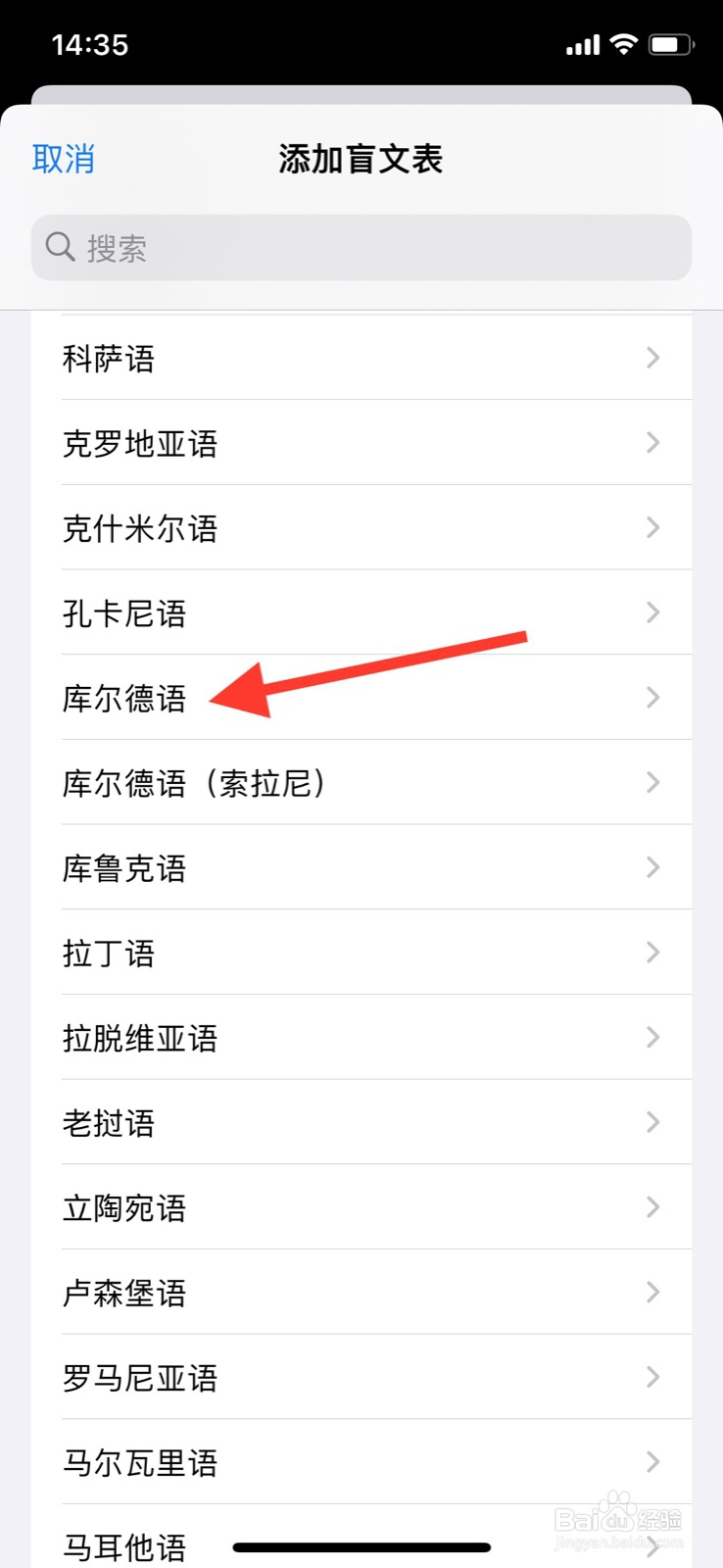 iPhone怎样新增盲文表“ 库尔德语”