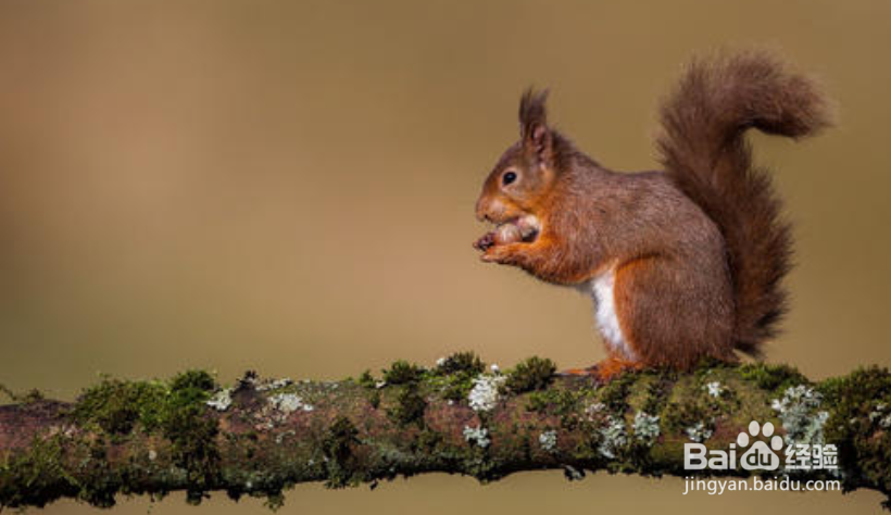 脑筋急转弯——生活中的猜谜（1）