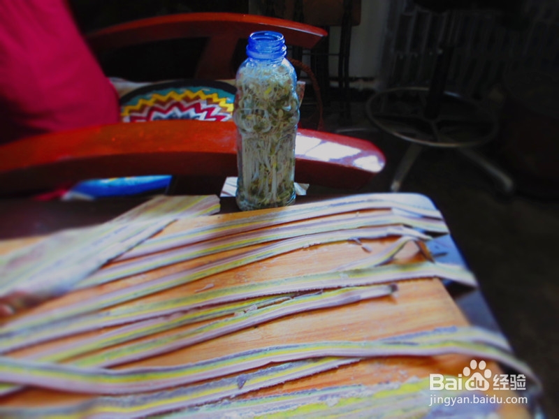 玩儿出色彩---彩带面条