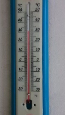 水稻催芽的三个阶段