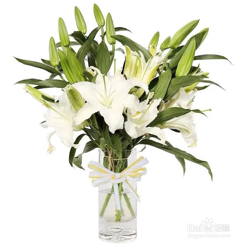 花店老板绝不会告诉你的六个选花技巧