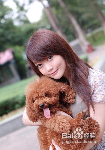 贵宾犬价格贵宾犬多少钱