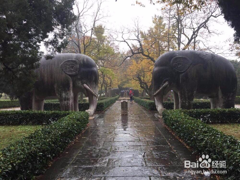 明孝陵旅游散记