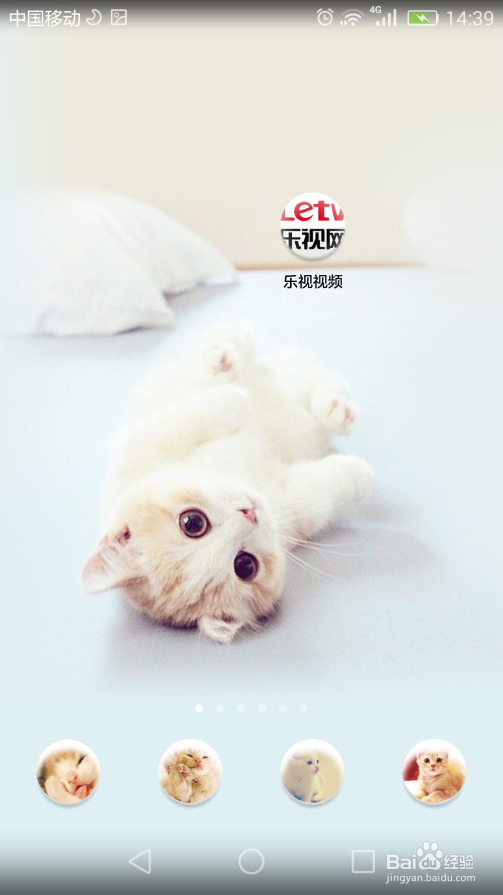 乐视如何看春晚